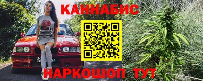 стаф Брянск