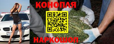 стаф Брянск