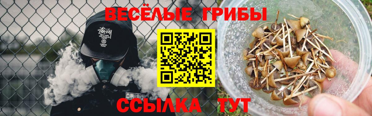 Галлюциногенные грибы мицелий  Вход с VPN  Великие Луки 