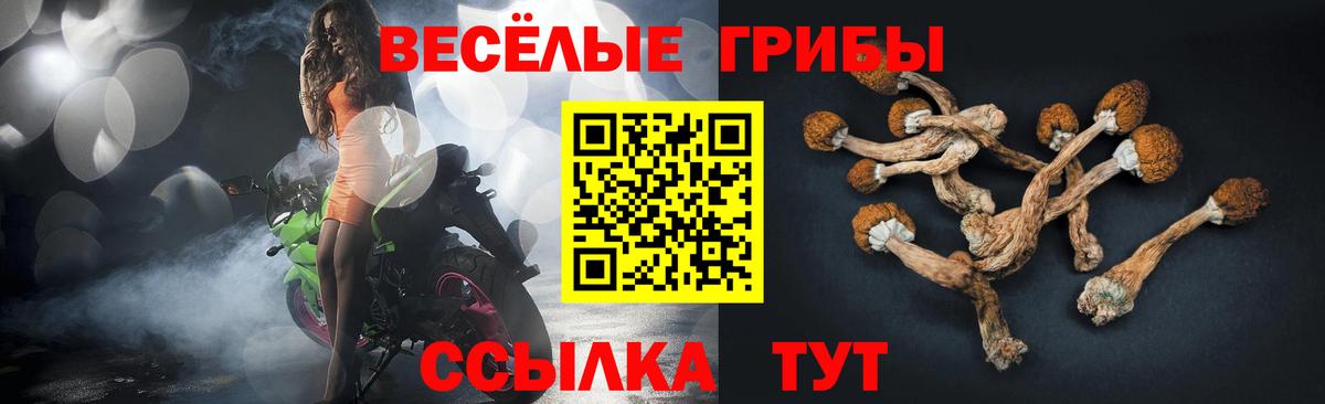 Псилоцибиновые грибы мицелий Великие Луки